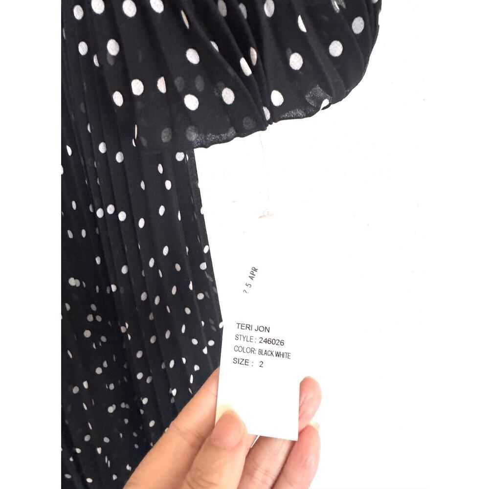 Teri Jon By Rickie Freeman Polka Dot Pleated Chiffon Gown Us2 — image 8 of 8